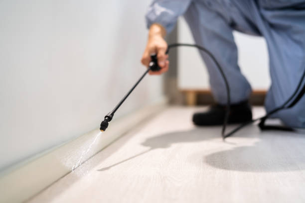 Best Flea Control Services  in Crandon Lakes, NJ