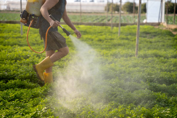 Best Affordable Pest Control Services  in Crandon Lakes, NJ