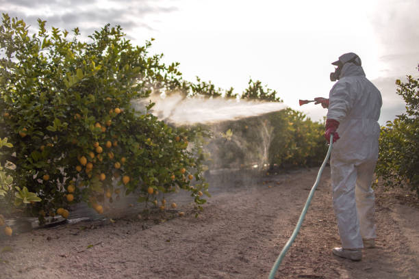 Flea Control Services in Crandon Lakes, NJ