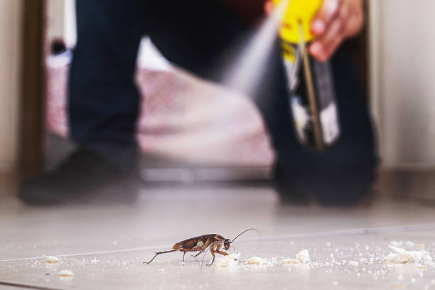 Best Commercial Pest Control Services  in Crandon Lakes, NJ
