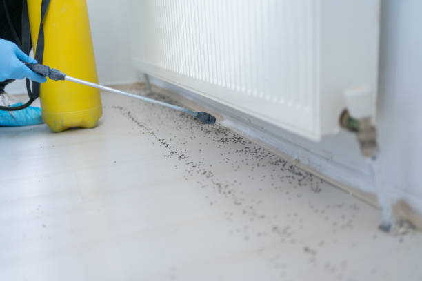 Best Mosquito Control Services  in Crandon Lakes, NJ